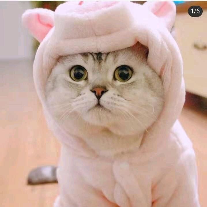 开心♀