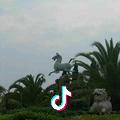 美好时光