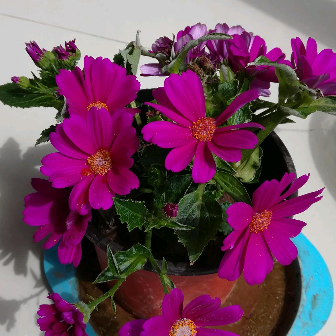 正在关注你