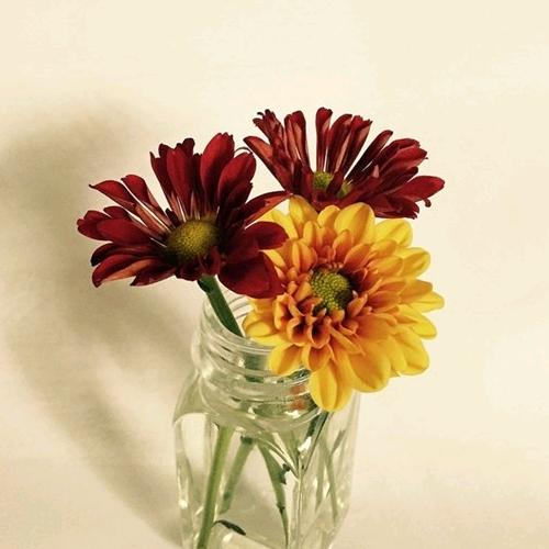 低吟浅唱（芳华悦己舞蹈队）