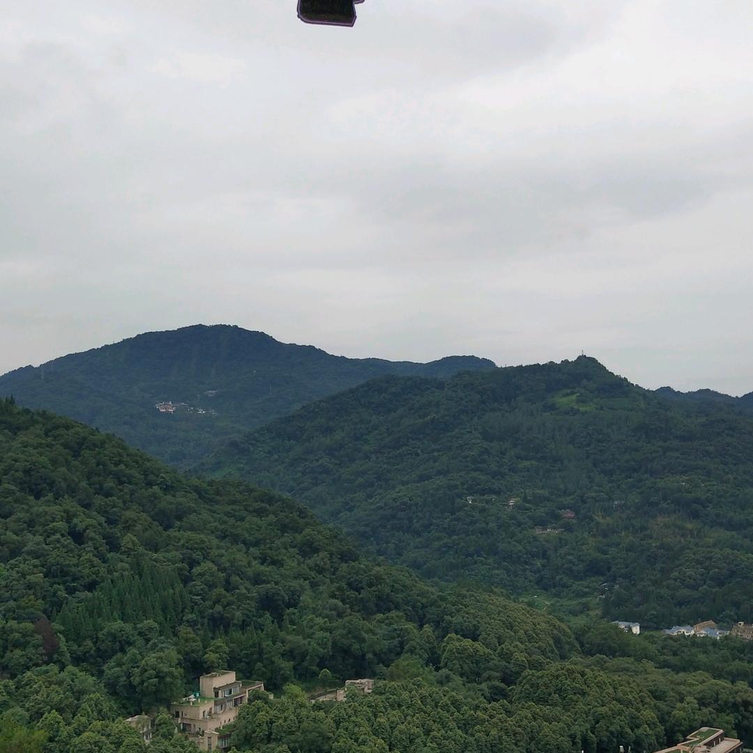 蒲