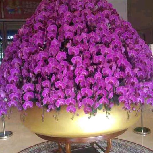小杰