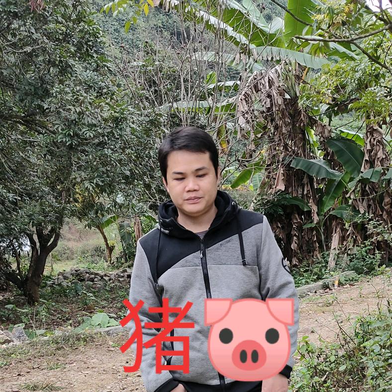 夜的第八章