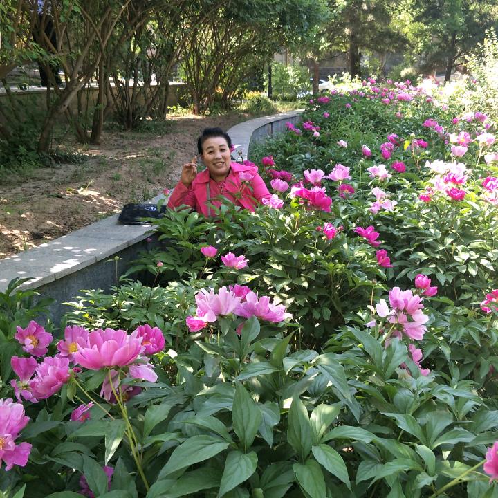花开富贵