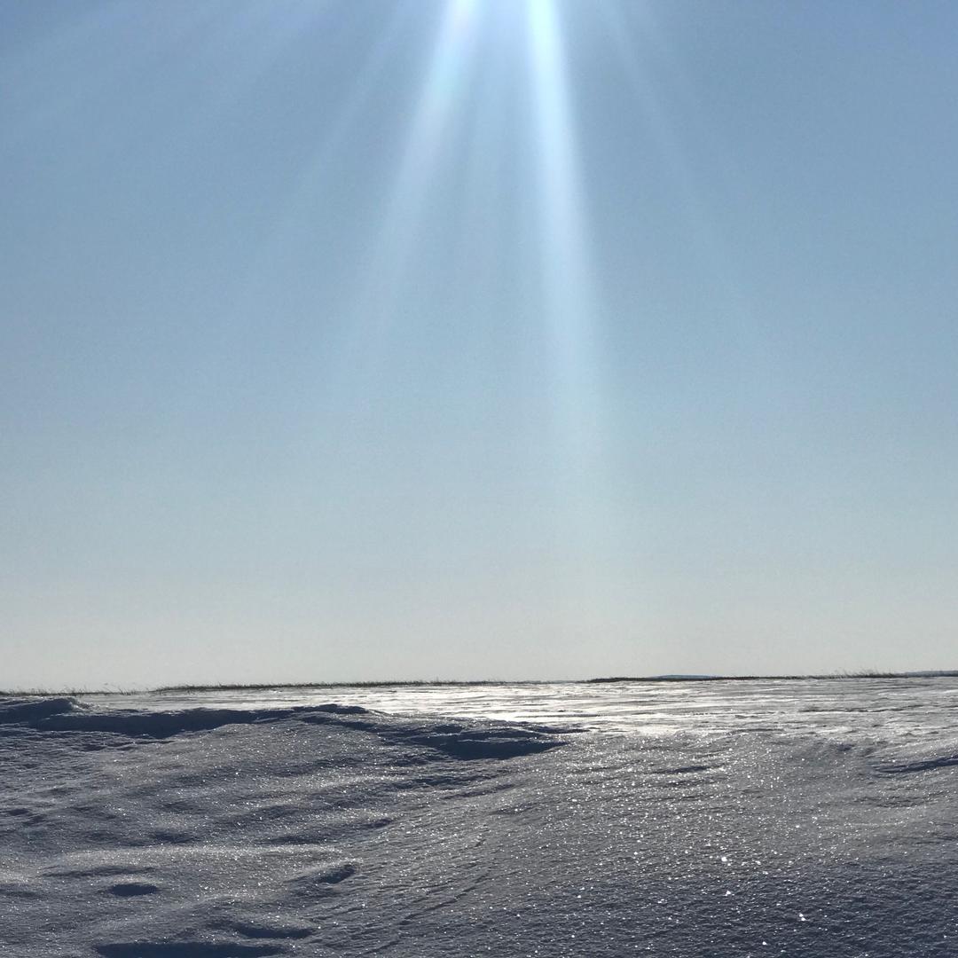 一叶轻舟🚣‍♀️