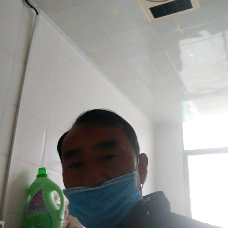 浪游天下