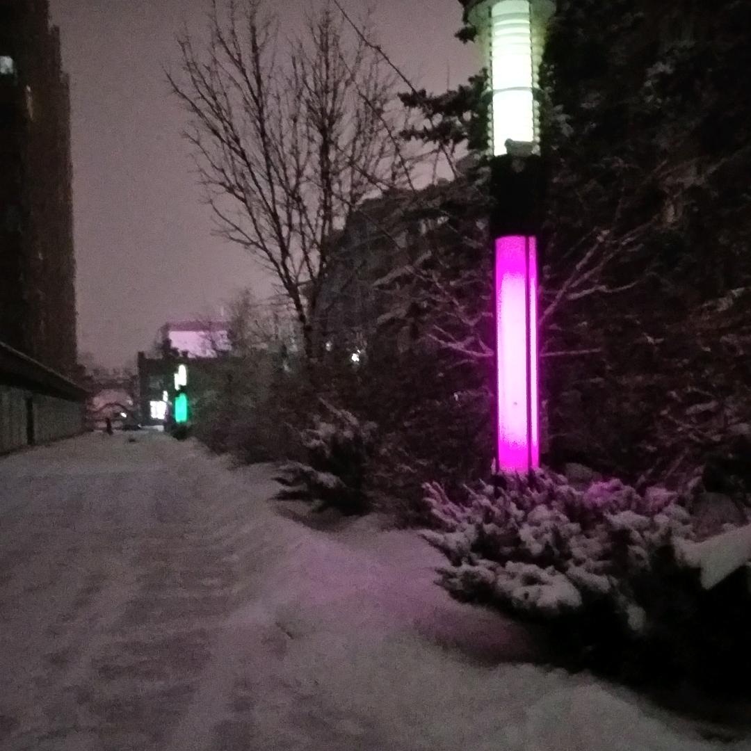 m玛雅