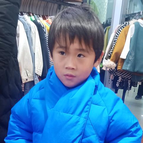 风声所向