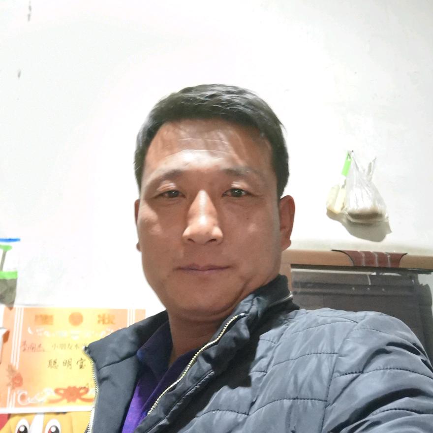 虎