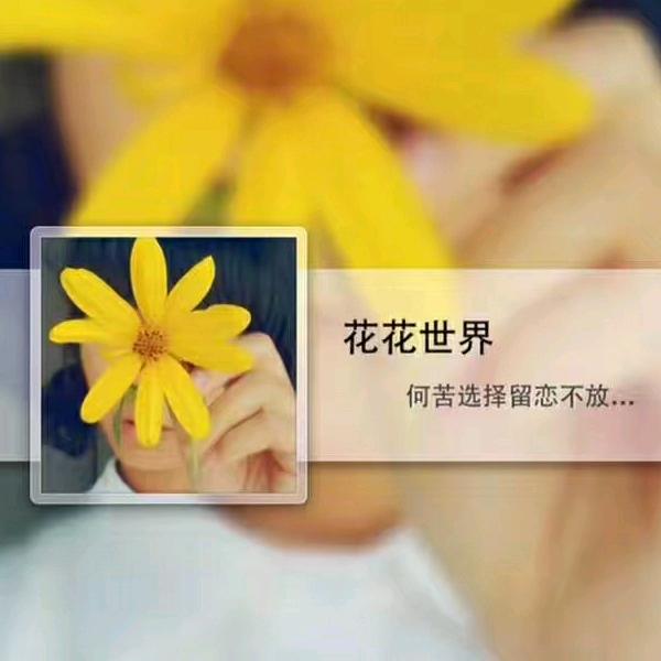 如果没有如果用户215781839457