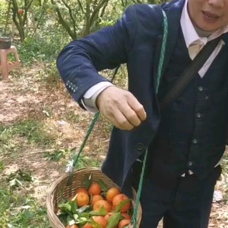 大家自安我蓝师傅。