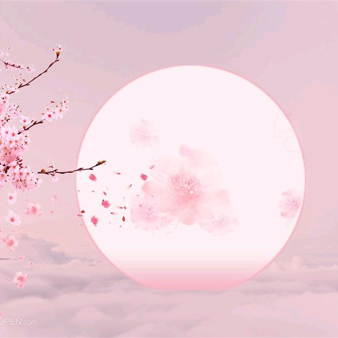 随心所欲