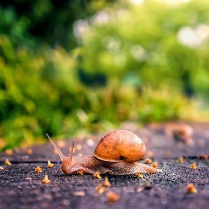 聚龙府君临天下