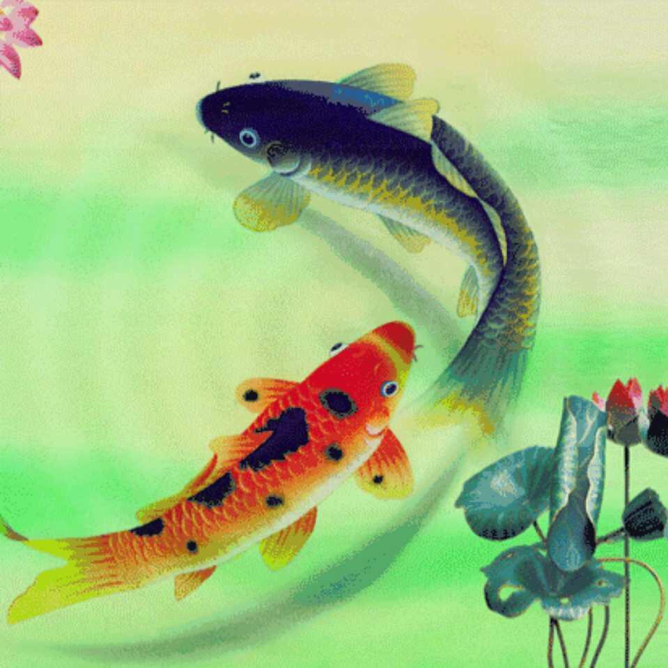 甘肃兰州∴兔∵旭芳