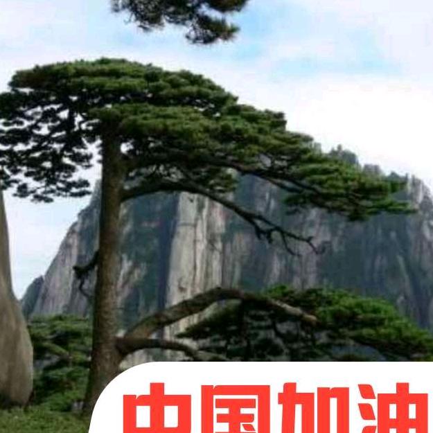 华仔（橱窗好物）