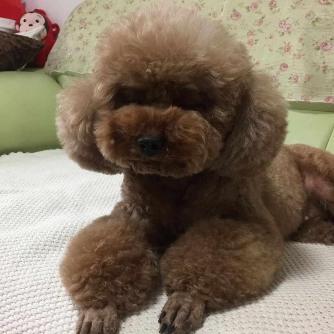 青容