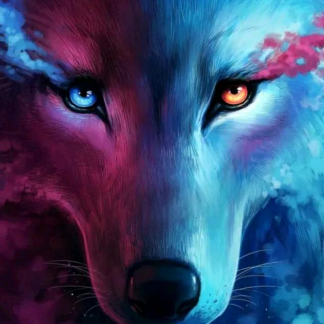 (❁´河北王哥´◡`❁)*✲ﾟ*