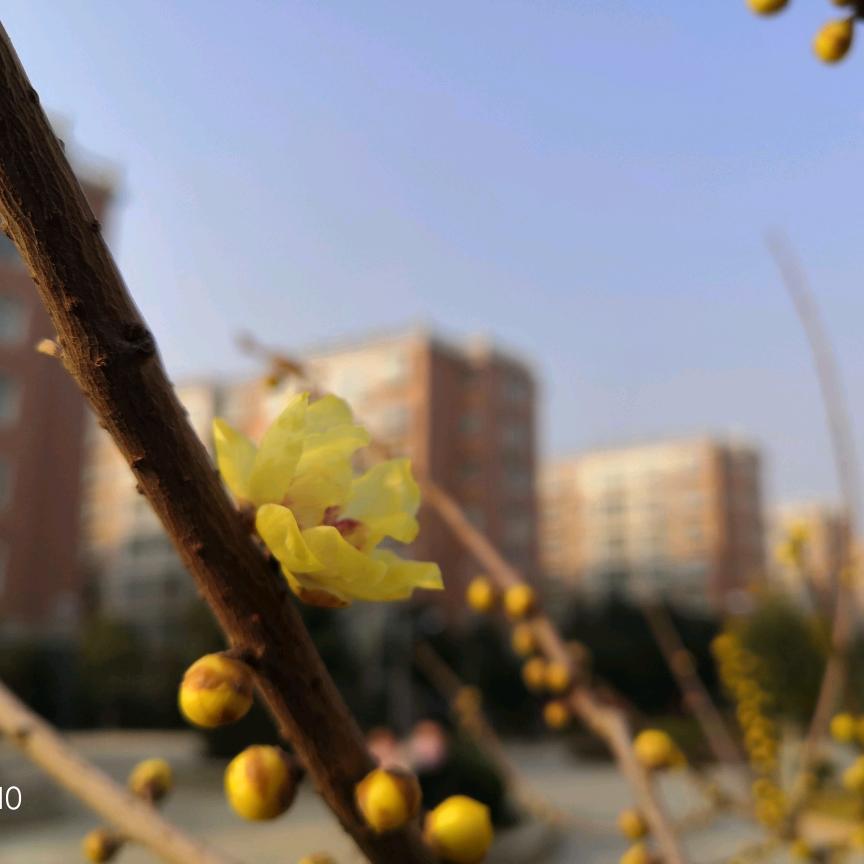 ～温柔的刺猬～