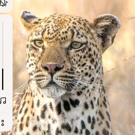 ღ˘笑敬๑过往๑۶