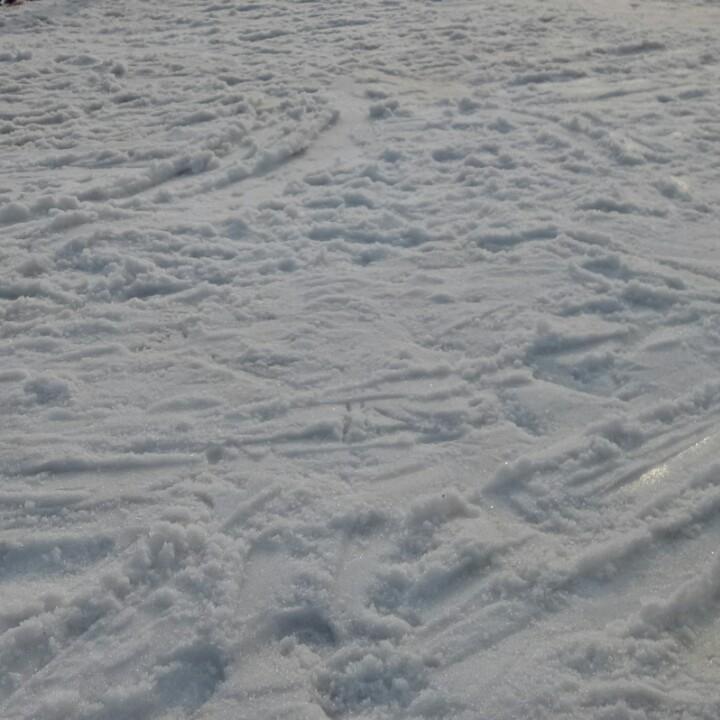 鱼丸