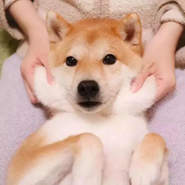 AFT特种兵