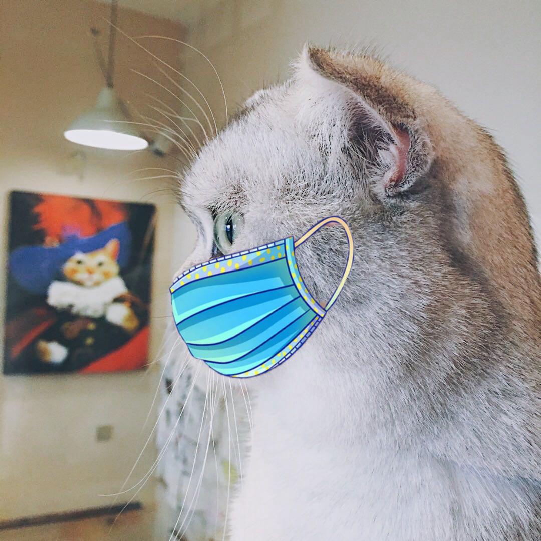 浮生若猫🎐