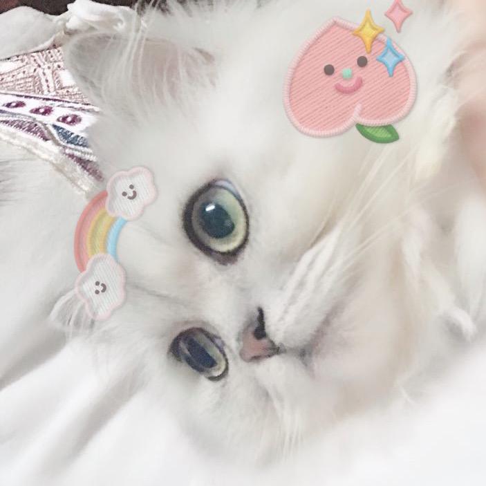 阿灵娜