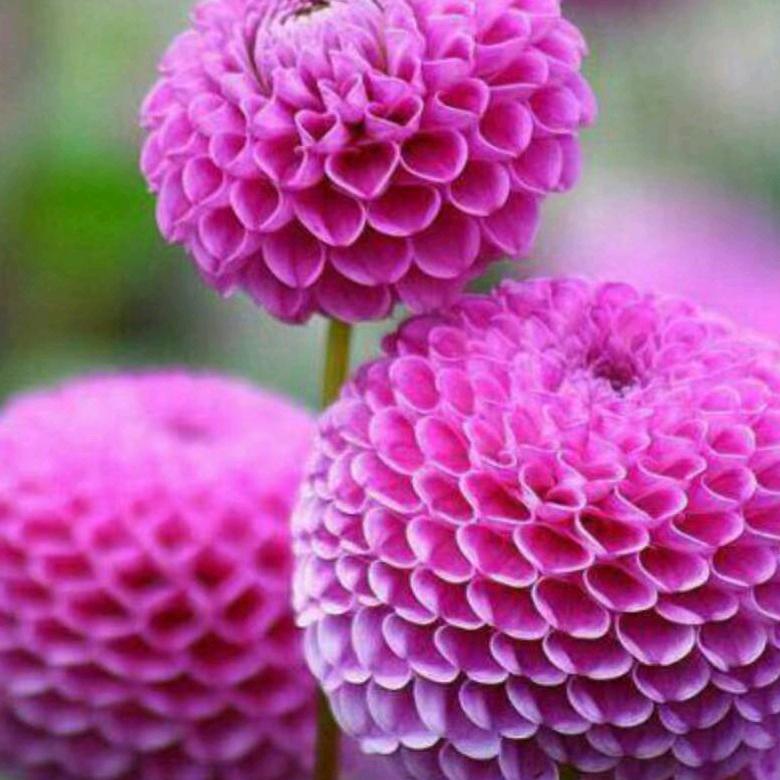 张帅安装水暖疏通管道，清洗太阳能