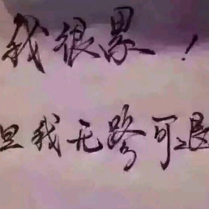 风雨无阻（🐍）
