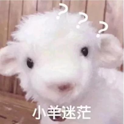 不吃香菜那咋了❓