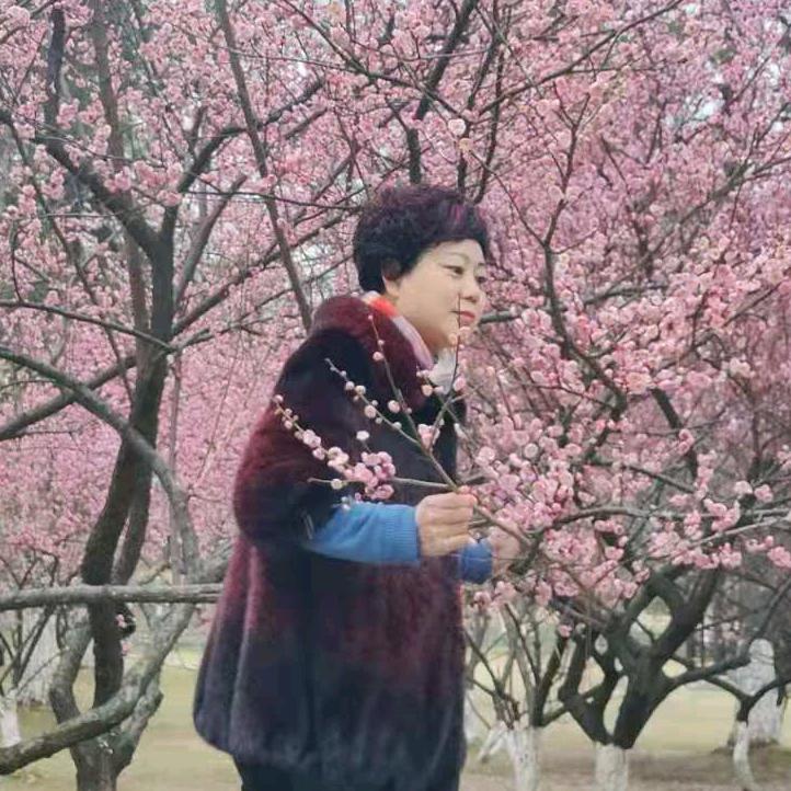 李晓青