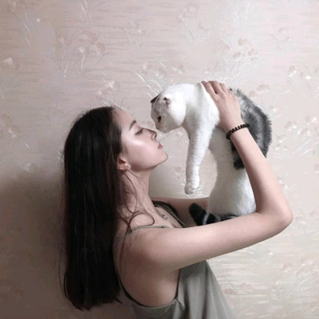 好丽友派
