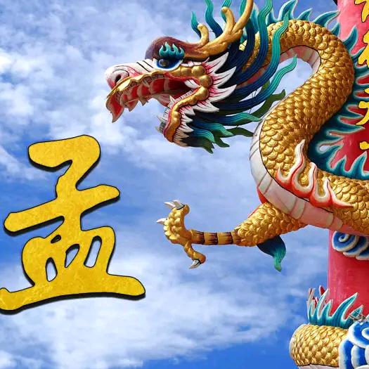 瑞毅包装