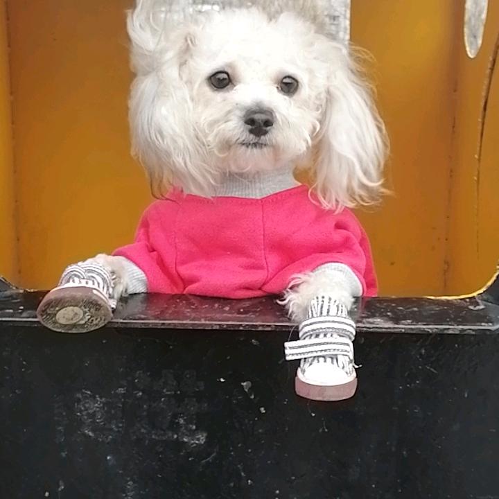 开心