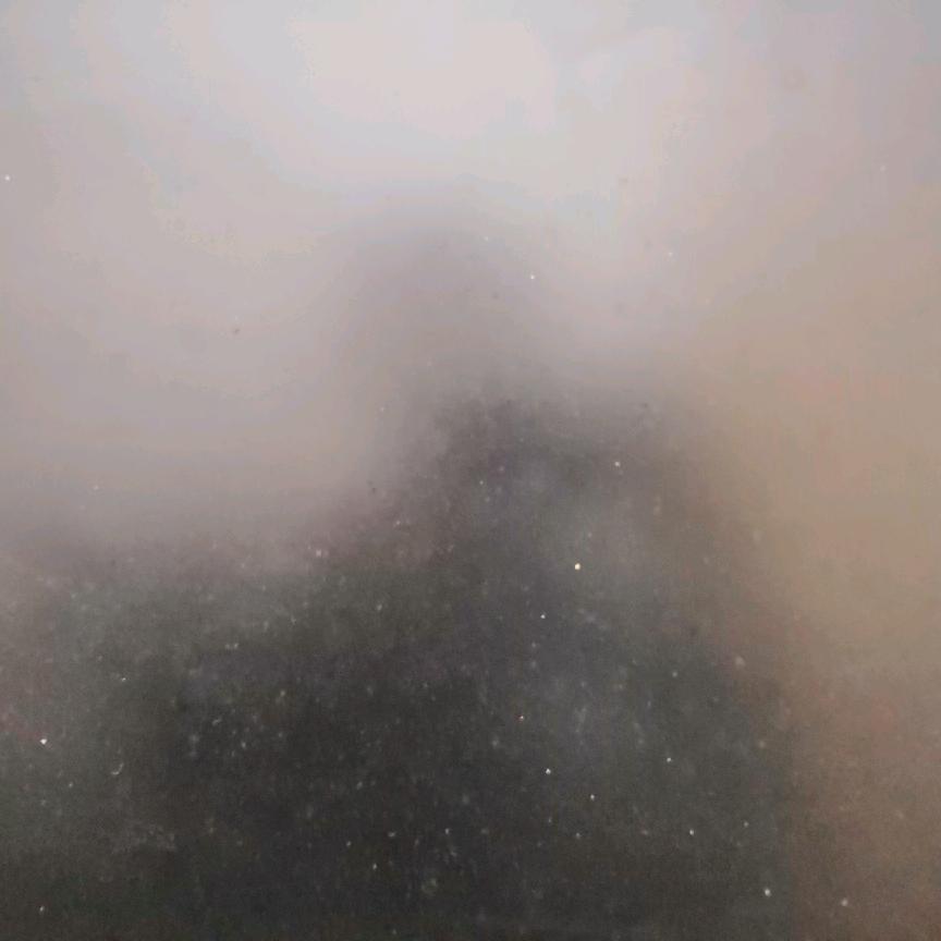 小馒头