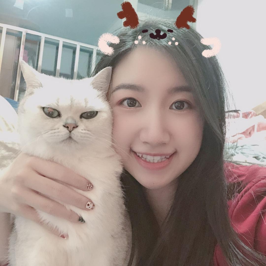 Carry🐈