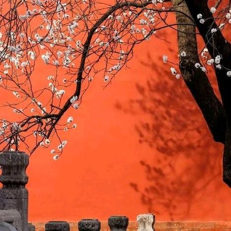 🐉淘里淘气的明明🐉