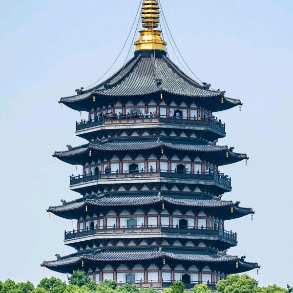 鹰