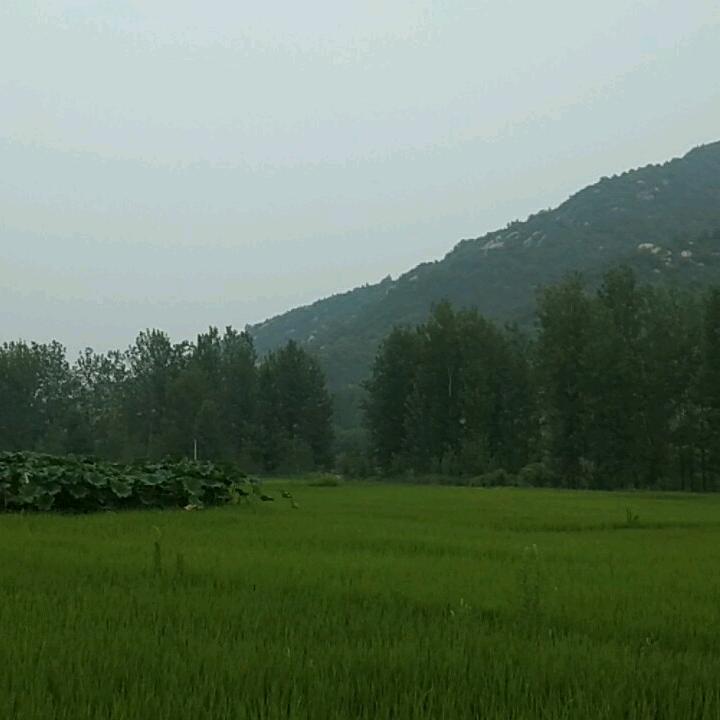 红娘冉姐《牵红线》