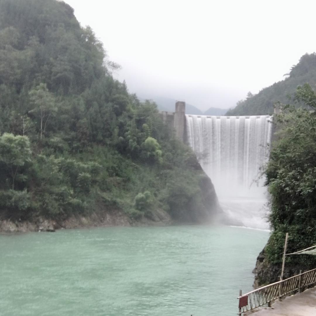 卑微承诺 👀。[捂脸]