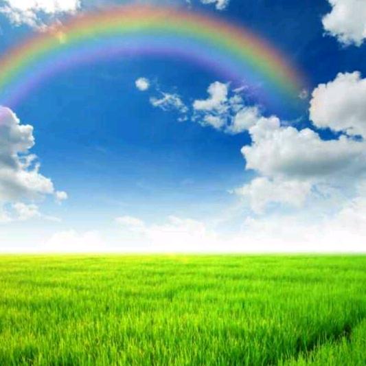 七彩虹🌹🌹🌹