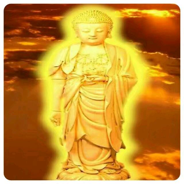 ㊣莫劍問情、