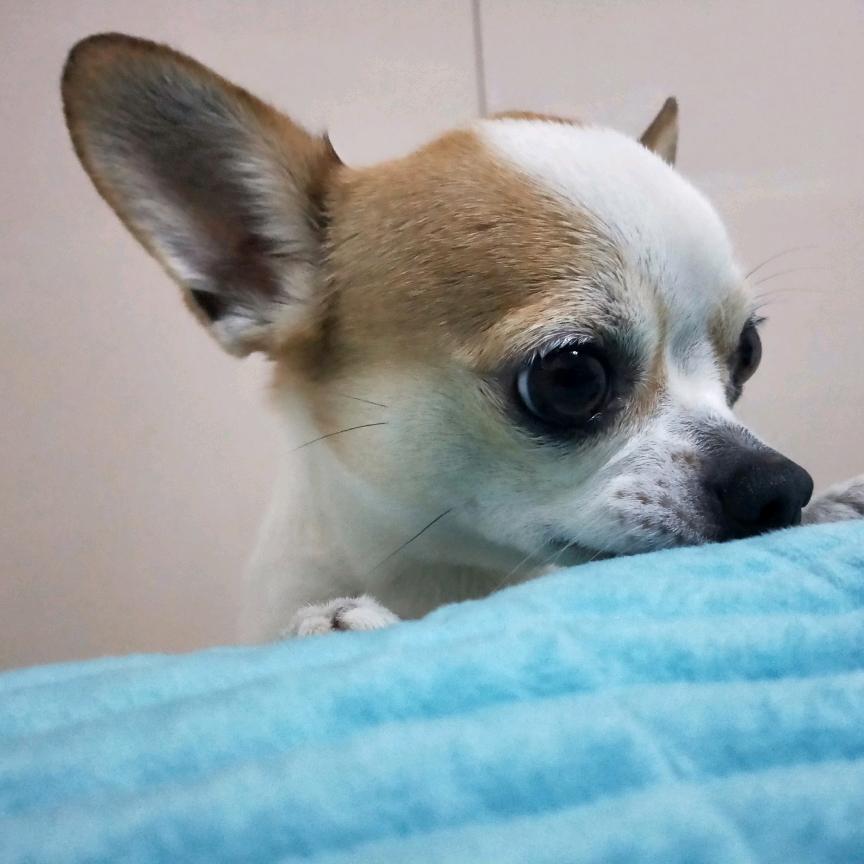 秋风