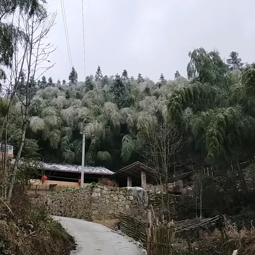 湘邵城茅
