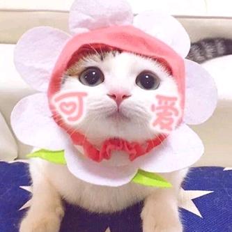 熟悉的陌生人☞