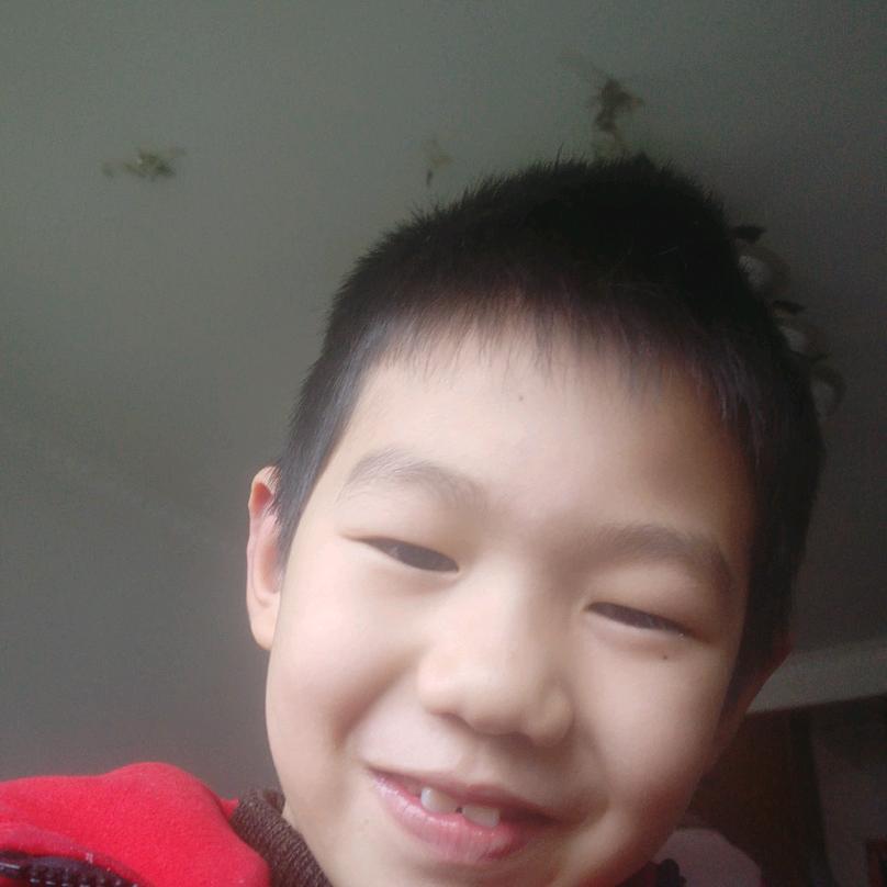 小太阳558656565565