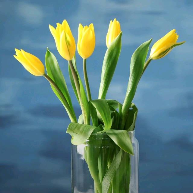 用户698496465幸福一生