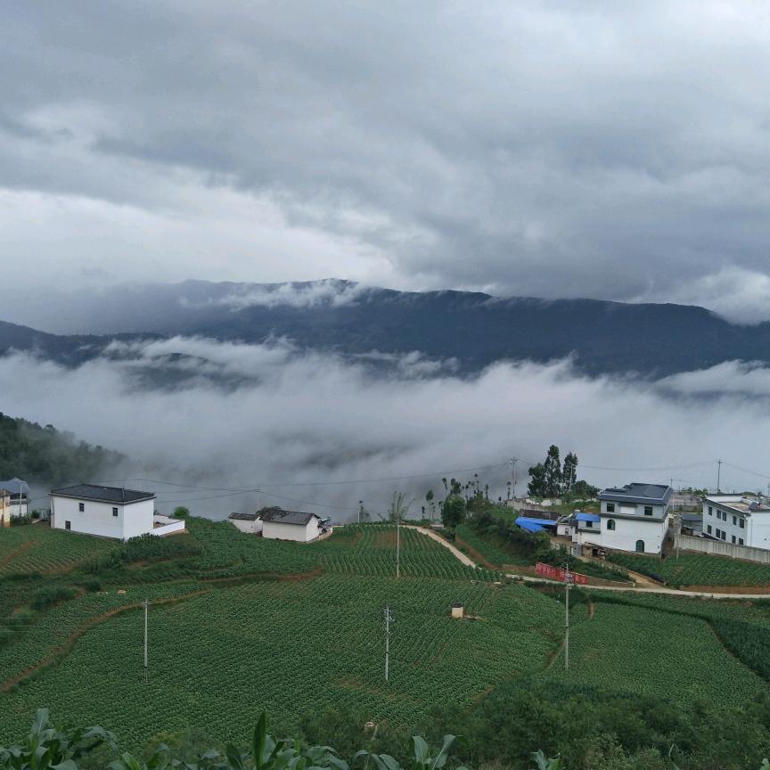 李文阳