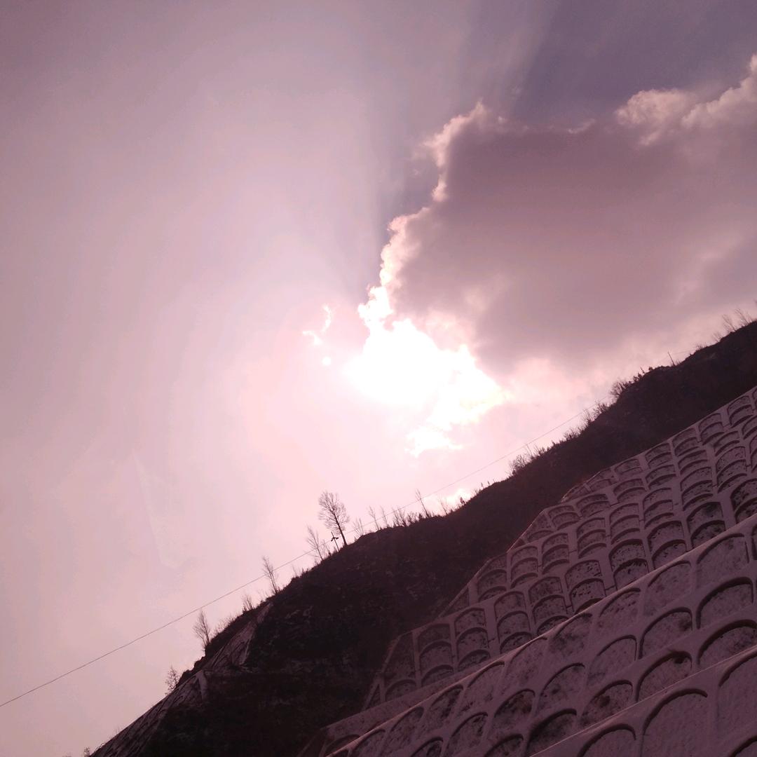 Sunshine