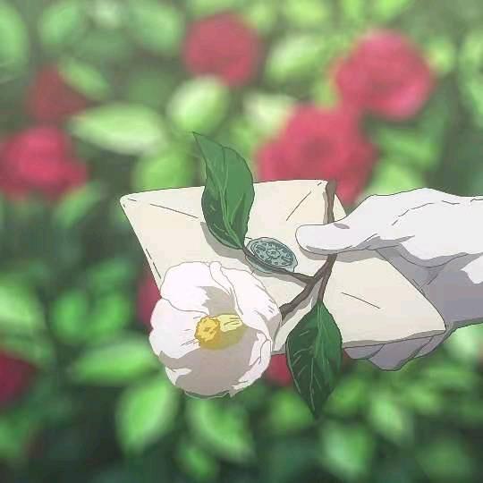 雾影